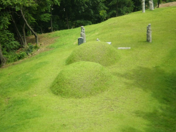 gyo07.jpg