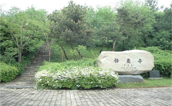 sjmoo02.jpg
